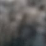 Adam Gramlich - Facebook
