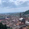 user3257326153606 - @adam_graulich - TikTok