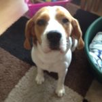 ADAMGRATTONLUKE - @adamgrattonluke - Instagram