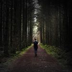 Adam Greenfield - @_adamgreenfield - Instagram
