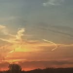 Adam Gregerson - @gregerson.adam - Instagram