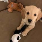 Adam Gregg - @adamgregg9 - Instagram