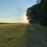 Adam Greig - @adamg0211 - Instagram