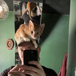 Adam Grover - @groveradam - Instagram