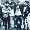 Adam's - @manoharadamgrover - TikTok