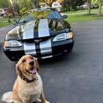 Adam Haase - @adam_haasesss - Instagram