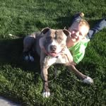 Adam Haase - @adamhaase60 - Instagram