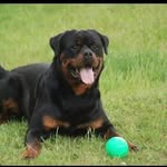 @adamhaase3 - Instagram