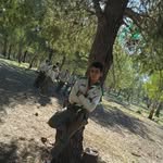 Adam Hallaci - @adamhallaci - Instagram