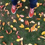 Adam Halliday - @a2thehalliday - Instagram