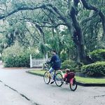 Adam Hammer - @adam_hammer00 - Instagram