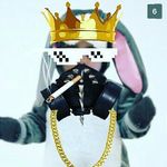 Adam Hanley - @adamhanley007 - Instagram