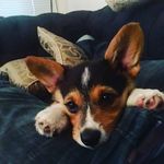 Adam Harness - @a_harness - Instagram