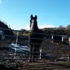 Ella 123 - @adamharry00 - TikTok