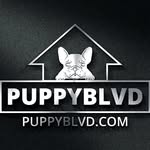 Adam Hartz - @puppyblvd - Instagram