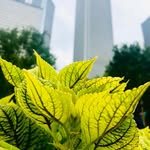Joshua Adam Harwell - @jah_views - Instagram