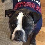 Adam Hatfield - @hlcm1 - Instagram
