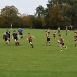 Adam Healy - @adam_healy15 - Instagram