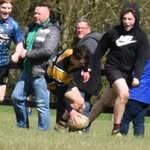 adam healy - @adam.healy15 - Instagram
