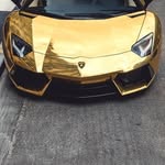 Adam Healy - @adamhealy45 - Instagram