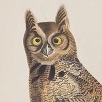 Adam Hebert - @beargrassphoto - Instagram