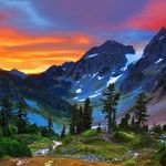 Adam Hedrick - @hedrick.adam - Instagram