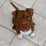 adam - @adam_heidelberg - Instagram
