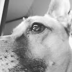 Adam Heidenreich - @heidenreichadam - Instagram