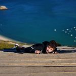 Adam Heiman - @heiman.adam - Instagram