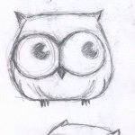 adam helgeson - @aadam_helgeson3216 - Instagram