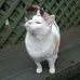 Adam Helliwell - Facebook