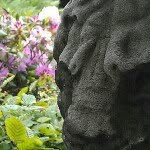 ach525 - @adamhellman - Instagram