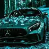 Adam Hellman - @user15039162 - TikTok