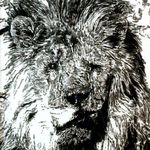 Adam Helms - @adamhelmsstudio - Instagram