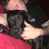 adamxhelms - @adamxhelms - TikTok