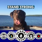 Adam Hemminger - @hemmingeradam - Instagram