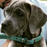 4ada_m_1 - @adam_hemsworth1 - Instagram
