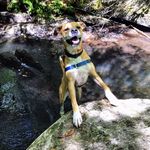 Adam Hendrick - @adam.hendrick.3 - Instagram