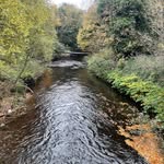 Adam hendry - @adzy_bhoy67 - Instagram