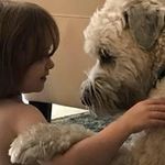 Adam Henning - @adamjasonhenning - Instagram
