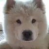 Adam Herod833 - @adamherod833 - TikTok