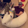 Adam Herrin - @adamherrin - TikTok