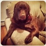 Queen Hershey - @hersheyadams - Instagram