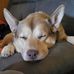 Adam Herzing - Facebook
