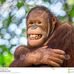 Adam Hess - Facebook