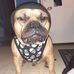 Adam Hess - Facebook