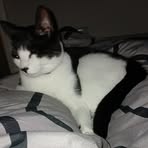 Adam Haigh - Facebook