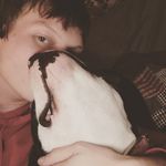 adam high - @adamhigh69 - Instagram