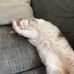 Adam Hiller - Facebook
