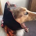 Adam Hixson - @adamx188 - Instagram